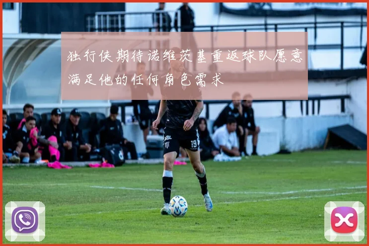 独行侠期待诺维茨基重返球队愿意满足他的任何角色需求