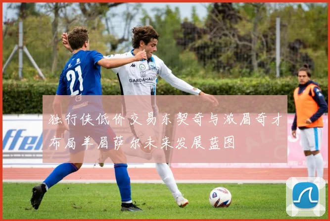 独行侠低价交易东契奇与浓眉奇才布局羊眉萨尔未来发展蓝图