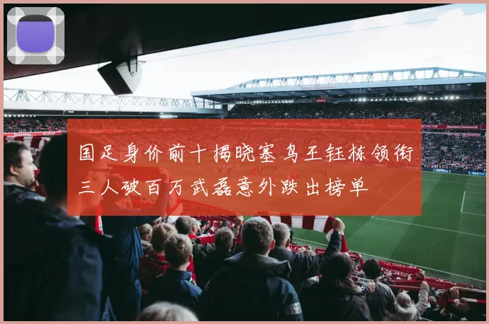 国足身价前十揭晓塞鸟王钰栋领衔三人破百万武磊意外跌出榜单